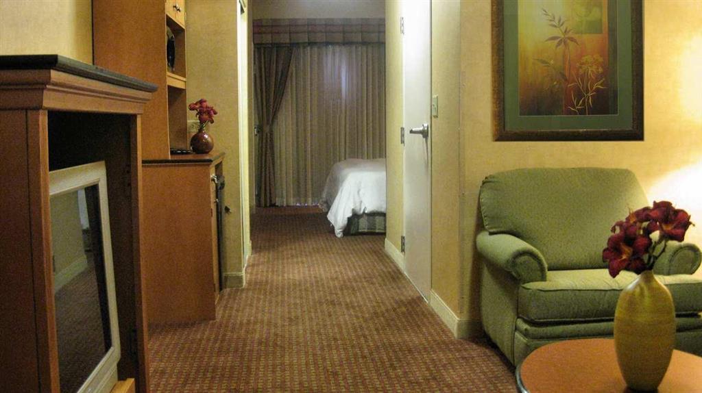 Hilton Garden Inn Chicago/Tinley Park Zimmer foto
